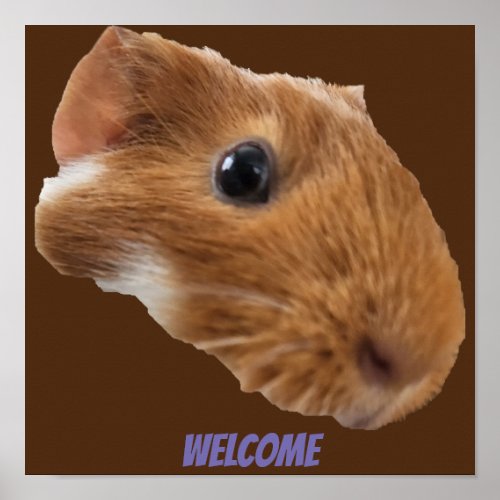 guinea pig head  poster