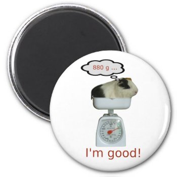 Guinea Pig Health Magnet by GuineaPigManual at Zazzle
