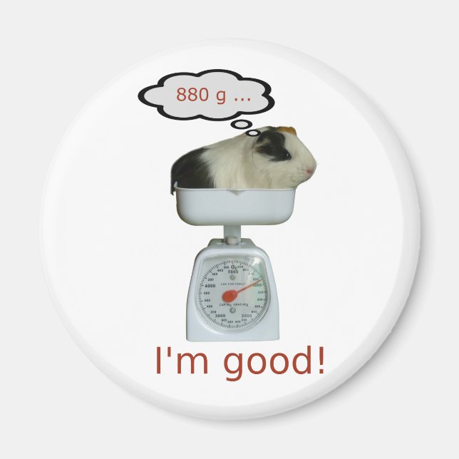 Guinea Pig Health Magnet (Front)