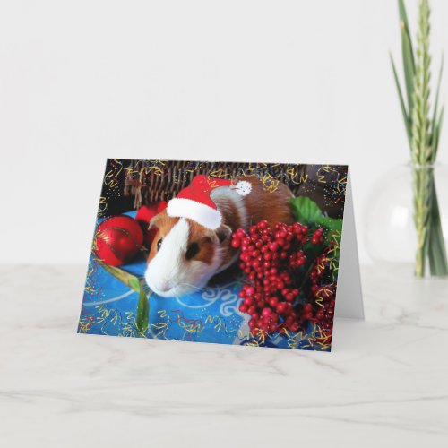 Guinea Pig Holiday Card