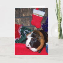 Guinea Pig Holiday Card