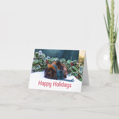 Guinea Pig Holiday Greeting Card