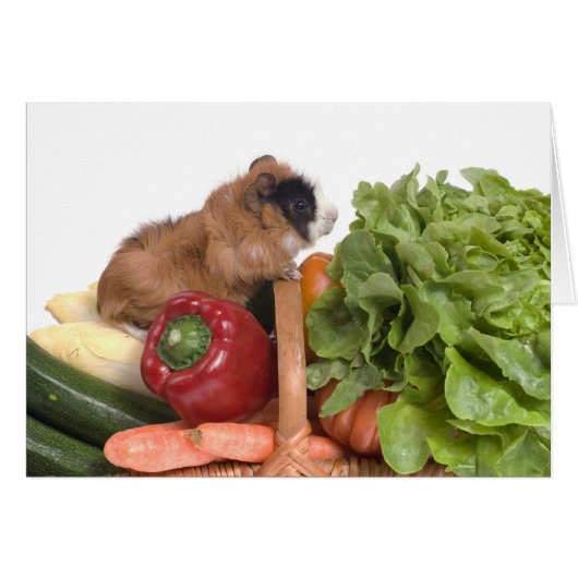 guinea pig in a basket of vegetables (Front Horizontal)