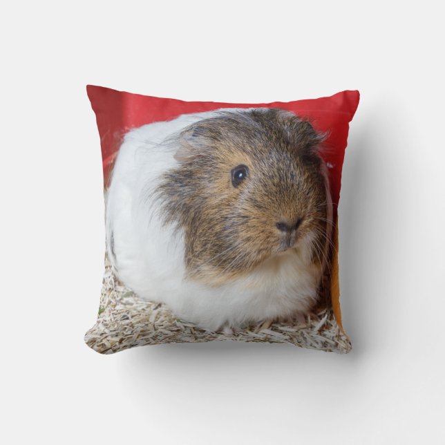 Guinea pig in a cage throw pillow (Front)