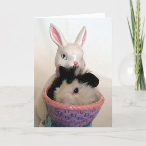 Guinea Pig in Bunny Planter For Easter Holiday Card