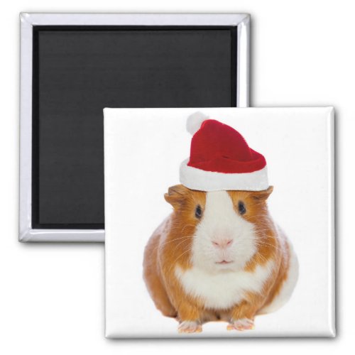 Guinea Pig in Santas hat Magnet