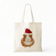 Guinea Pig in Santa's hat