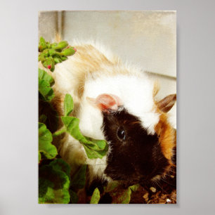 Guinea Pig in the Flowers Poster