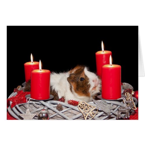 Guinea Pig in Wreath Christmas Card