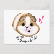 Guinea pig it's guinea be ok