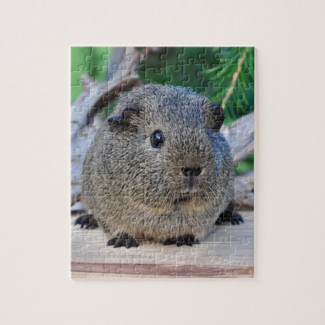 Guinea Pig Jigsaw Puzzle (Vertical)