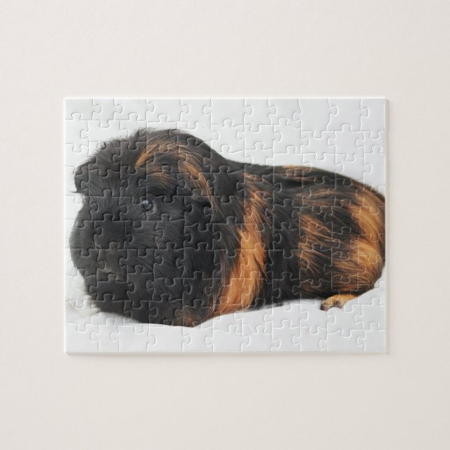Guinea Pig Jigsaw Puzzle (Horizontal)