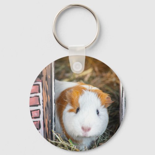 Guinea pig keychain