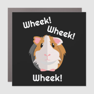 Guinea Pig Love Car Magnet