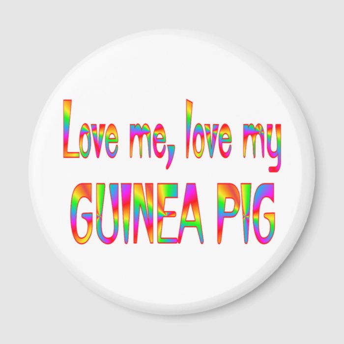 Guinea Pig Love Refrigerator Magnets