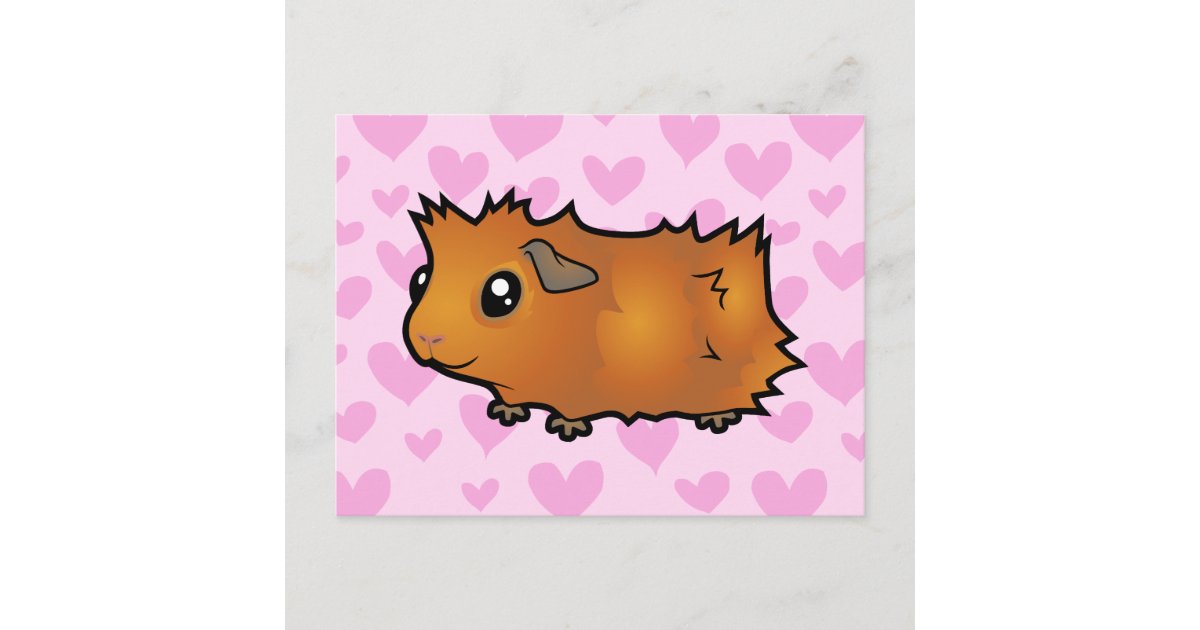 Guinea Pig Love (scruffy) Postcard | Zazzle