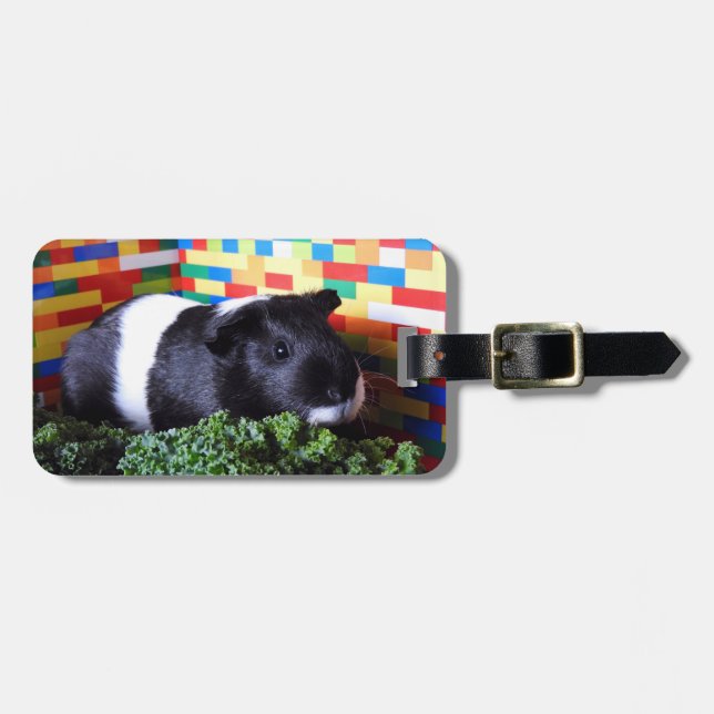 Guinea Pig Luggage Tag (Front Horizontal)