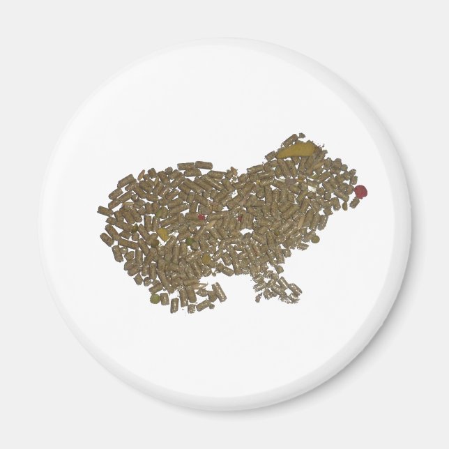 Guinea Pig Magnet (Front)