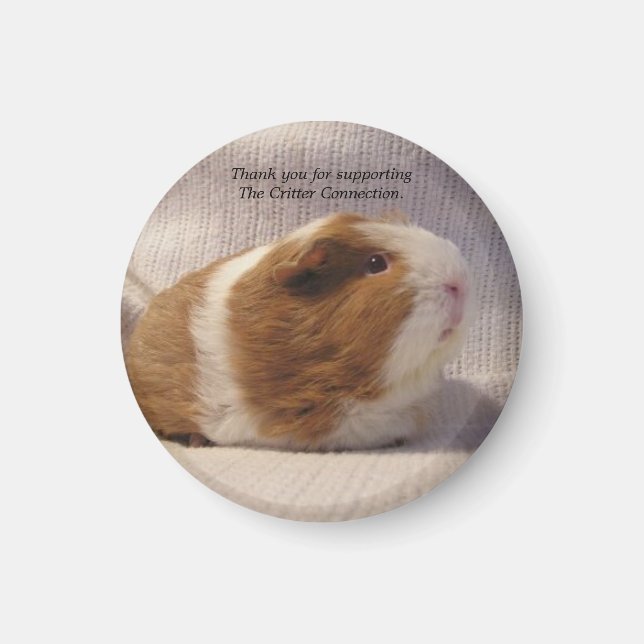 Guinea Pig Magnet #5 (Front)