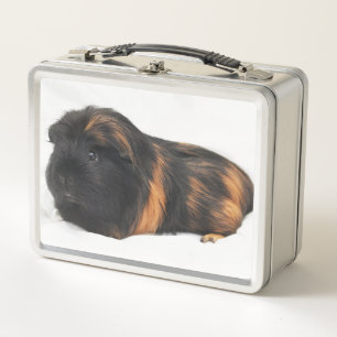 Guinea Pig Metal Lunch Box