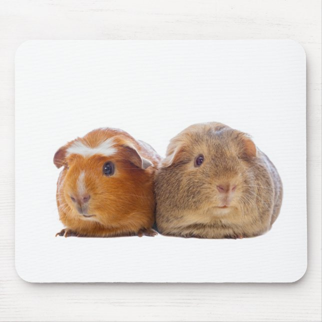 Guinea Pig Mouse Pad (Front)
