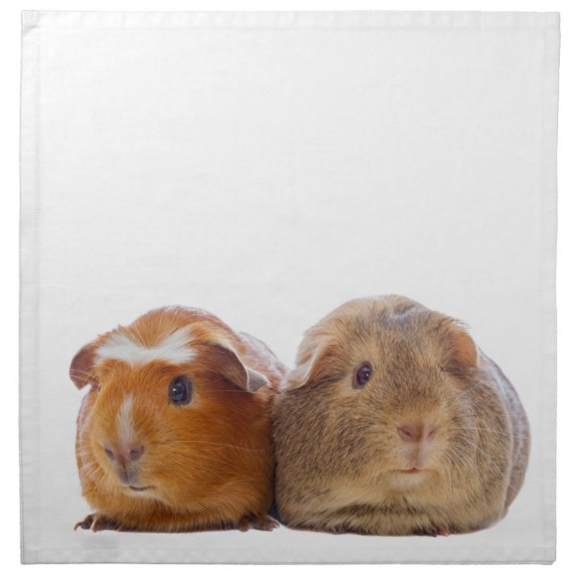 Guinea Pig Napkin (Front)