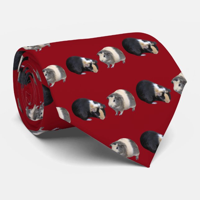 Guinea pig neck tie (Rolled)