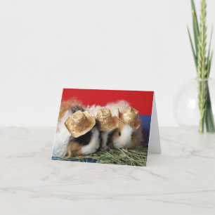 Guinea Pig Note Card