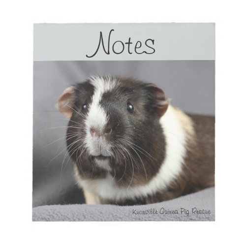 Guinea Pig Notepad