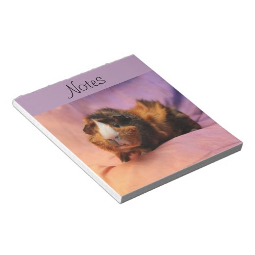 Guinea Pig Notepad