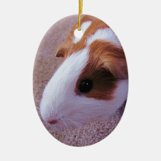 Guinea Pig Ornament (Front)