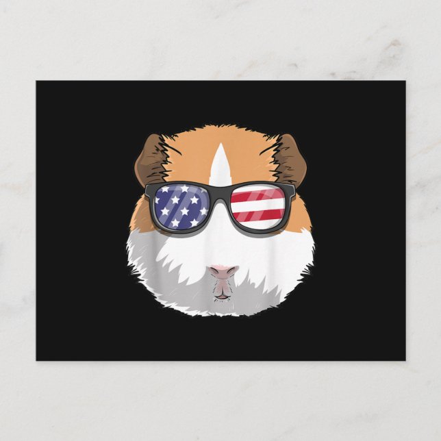 Guinea Pig Patriotic Usa 4th Of July American Cute Postcard (Front)