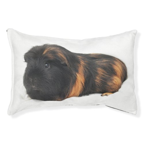 Guinea Pig Pet Bed