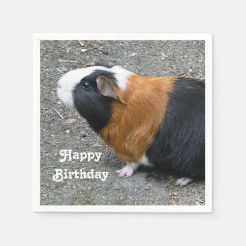 Guinea Pig Photo Birthday Napkins