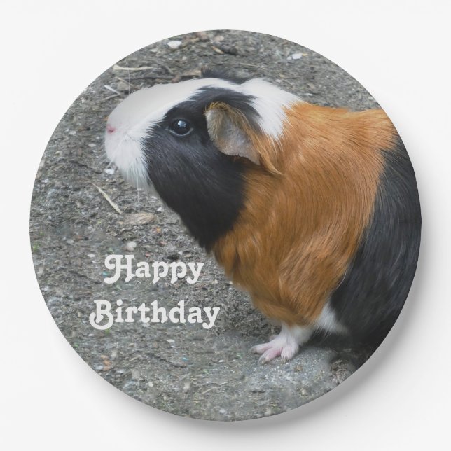 Guinea Pig Photo Birthday Paper Plates (Front)