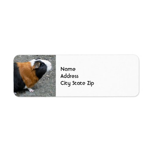 Guinea Pig Photo Label