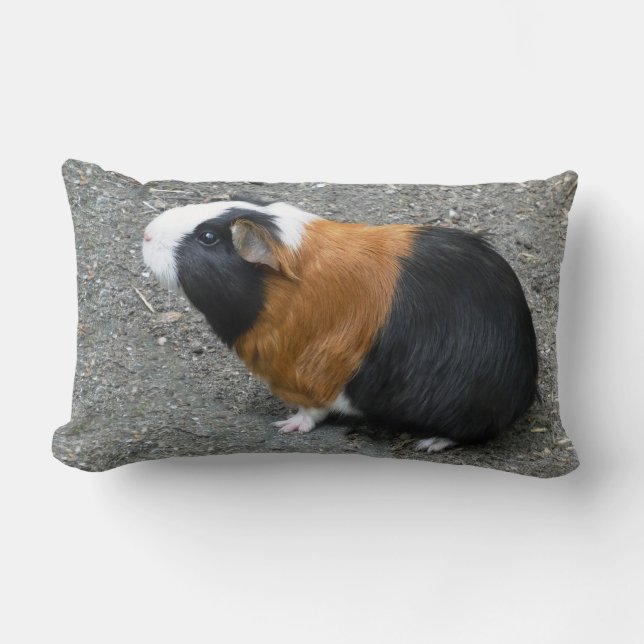 Guinea Pig Photo Lumbar Pillow (Front)