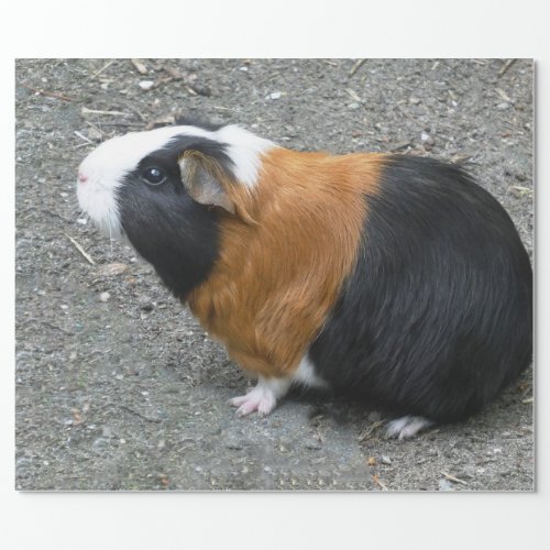 Guinea Pig Photo Wrapping Paper