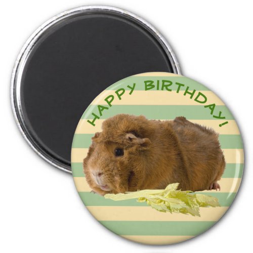 Guinea Pig Photograph Happy Birthday Template Magnet