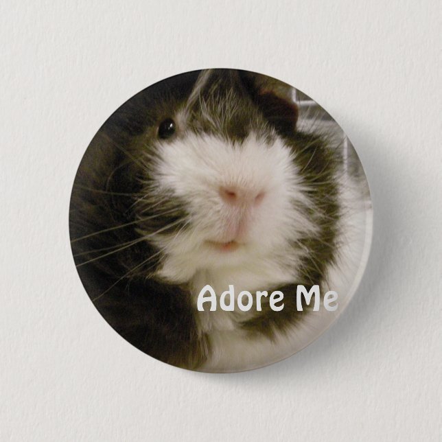 Guinea Pig Pinback Button (Front)