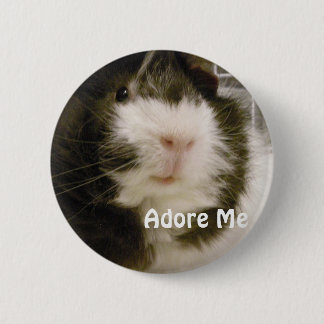 Guinea Pig Pinback Button
