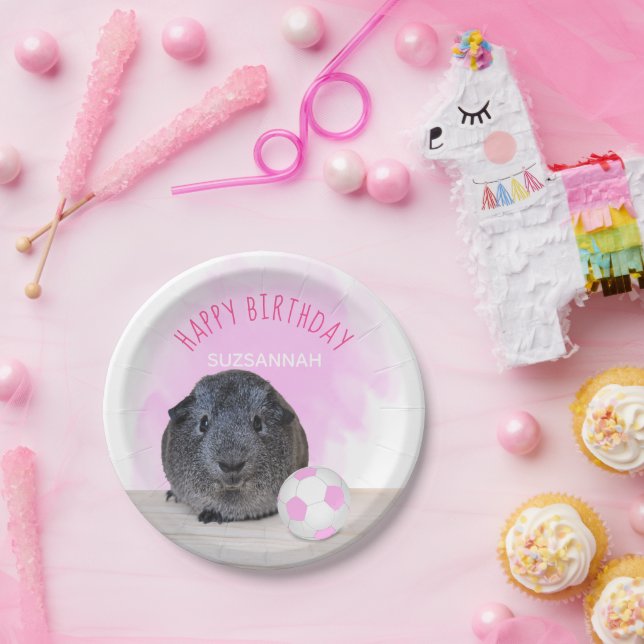 Guinea Pig Pink White Soccer Ball Custom Birthday Paper Plates (Party)