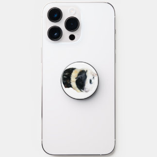 Guinea Pig PopSocket