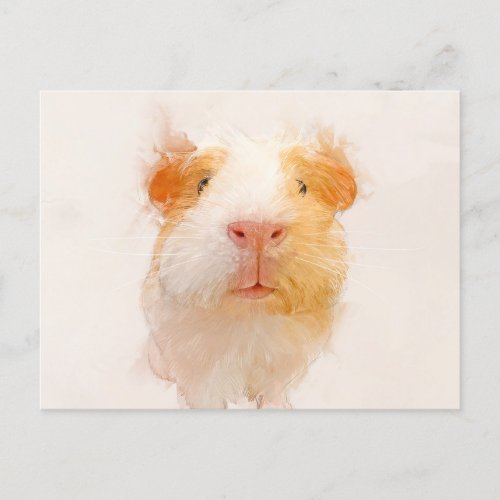 Guinea Pig Portrait 001  Postcard