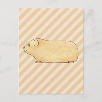 Guinea Pig. Postcard by Animal_Art_By_Ali at Zazzle