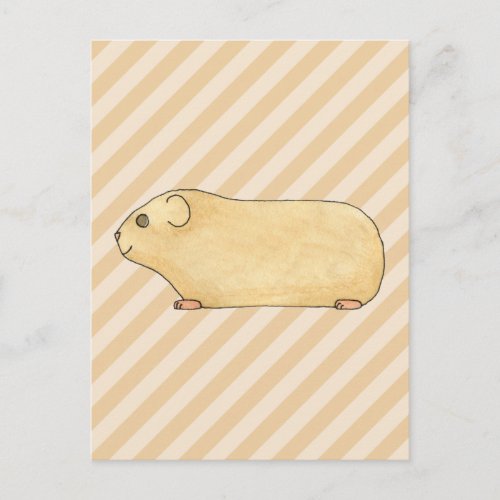 Guinea Pig Postcard