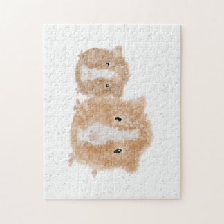 Guinea Pig Puzzle