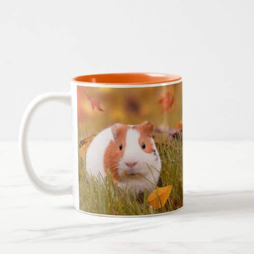 Guinea Pig Quote  Photo Two_Tone Coffee Mug