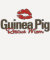 Guinea Pig Rescue Mom - Guinea Pig Today