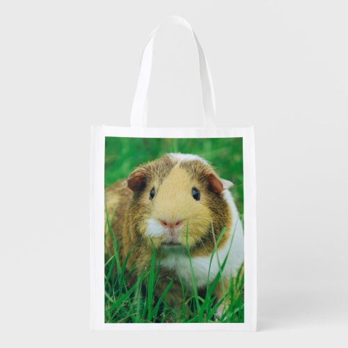 Guinea pig reusable grocery bag